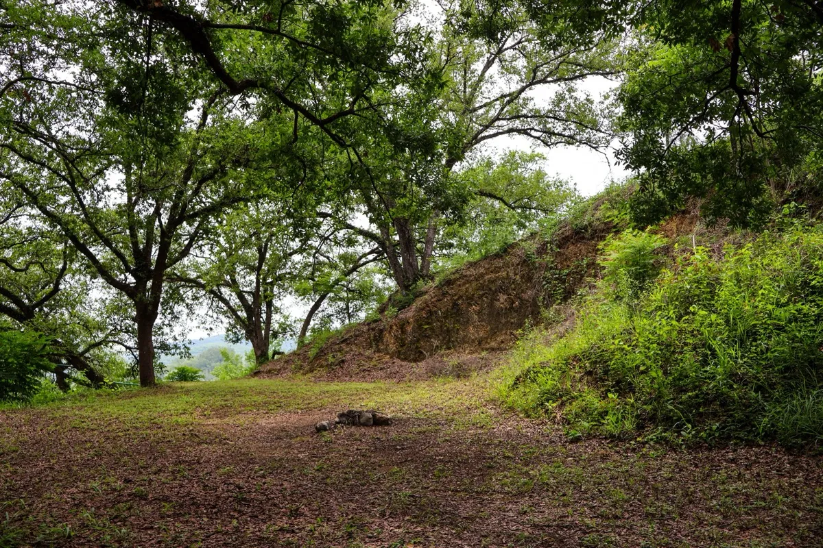 Claro en el bosque para acampar